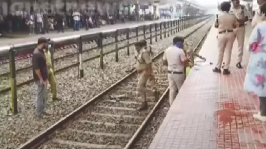 ആലപ്പുഴ റെയില്വേ സ്റ്റേഷനിലെ ട്രാക്കില് മനുഷ്യന്റെ കാല്; മൃതദേഹാവിഷ്ടത്തിന് രണ്ടു ദിവസത്തെ പഴക്കം ആലപ്പുഴ റെയില്വേ സ്റ്റേഷനിലെ ട്രാക്കില് മനുഷ്യന്റെ കാല്; മൃതദേഹാവിഷ്ടത്തിന് രണ്ടു ദിവസത്തെ പഴക്കം