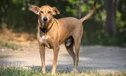 സ്വകാര്യ ആശുപത്രികളില് സൗജന്യ അടിയന്തര ചികിത്സ; നിയമ ഭേദഗതിയുമായി കര്ണാടക സര്ക്കാര് സ്വകാര്യ ആശുപത്രികളില് സൗജന്യ അടിയന്തര ചികിത്സ; നിയമ ഭേദഗതിയുമായി കര്ണാടക സര്ക്കാര്