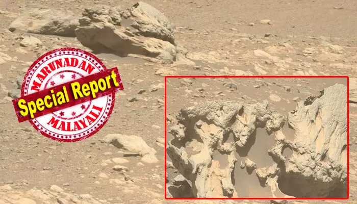 ചൊവ്വയിൽ അപരിചിതൻ; ജെസീറോ ക്രേറ്ററിൽ കണ്ടെത്തിയത് ഇരുമ്പിന്റെയും നിക്കലിന്റെയും സാന്ദ്രത കൂടിയ 80 സെന്റീമീറ്റർ വലുപ്പമുള്ള പാറ; ഉൽക്കാശിലയായിരിക്കാമെന്ന് നിഗമനം; ഫിപ്സാക്സ്ല ചുവന്ന ഗ്രഹത്തിൽ രൂപപ്പെട്ടതല്ലെന്ന് നാസ ചൊവ്വയിൽ അപരിചിതൻ; ജെസീറോ ക്രേറ്ററിൽ കണ്ടെത്തിയത് ഇരുമ്പിന്റെയും നിക്കലിന്റെയും സാന്ദ്രത കൂടിയ 80 സെന്റീമീറ്റർ വലുപ്പമുള്ള പാറ; ഉൽക്കാശിലയായിരിക്കാമെന്ന് നിഗമനം; ഫിപ്സാക്സ്ല ചുവന്ന ഗ്രഹത്തിൽ രൂപപ്പെട്ടതല്ലെന്ന് നാസ