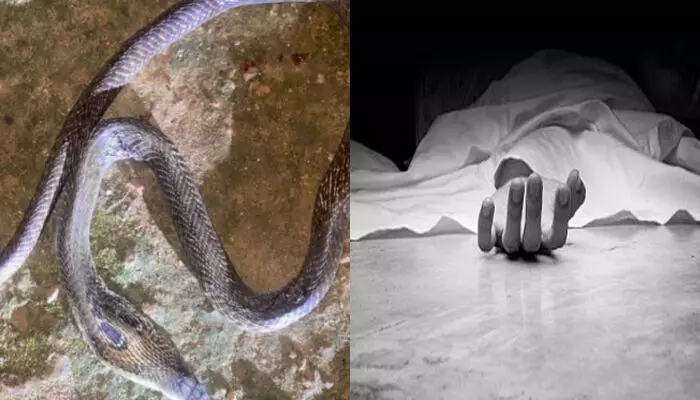 മലപ്പുറത്ത് ദാരുണ സംഭവം; വീട്ടുമുറ്റത്ത് നിന്ന് കളിച്ചു കൊണ്ടിരുന്ന കുട്ടി പാമ്പ് കടിയേറ്റ് മരിച്ചു; കടിച്ചത് ഉഗ്ര വിഷമുള്ള മൂർഖൻ; വേദനയായി കുഞ്ഞ് അർജുൻന്റെ വിയോഗം