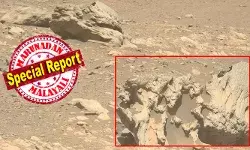 ചൊവ്വയിൽ അപരിചിതൻ; ജെസീറോ ക്രേറ്ററിൽ കണ്ടെത്തിയത് ഇരുമ്പിന്റെയും നിക്കലിന്റെയും സാന്ദ്രത കൂടിയ 80 സെന്റീമീറ്റർ വലുപ്പമുള്ള പാറ; ഉൽക്കാശിലയായിരിക്കാമെന്ന് നിഗമനം; ഫിപ്സാക്‌സ്‌ല ചുവന്ന ഗ്രഹത്തിൽ രൂപപ്പെട്ടതല്ലെന്ന് നാസ