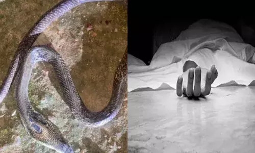 മലപ്പുറത്ത് ദാരുണ സംഭവം; വീട്ടുമുറ്റത്ത് നിന്ന് കളിച്ചു കൊണ്ടിരുന്ന കുട്ടി പാമ്പ് കടിയേറ്റ് മരിച്ചു; കടിച്ചത് ഉഗ്ര വിഷമുള്ള മൂർഖൻ; വേദനയായി കുഞ്ഞ് അർജുൻന്റെ വിയോഗം മലപ്പുറത്ത് ദാരുണ സംഭവം; വീട്ടുമുറ്റത്ത് നിന്ന് കളിച്ചു കൊണ്ടിരുന്ന കുട്ടി പാമ്പ് കടിയേറ്റ് മരിച്ചു; കടിച്ചത് ഉഗ്ര വിഷമുള്ള മൂർഖൻ; വേദനയായി കുഞ്ഞ് അർജുൻന്റെ വിയോഗം