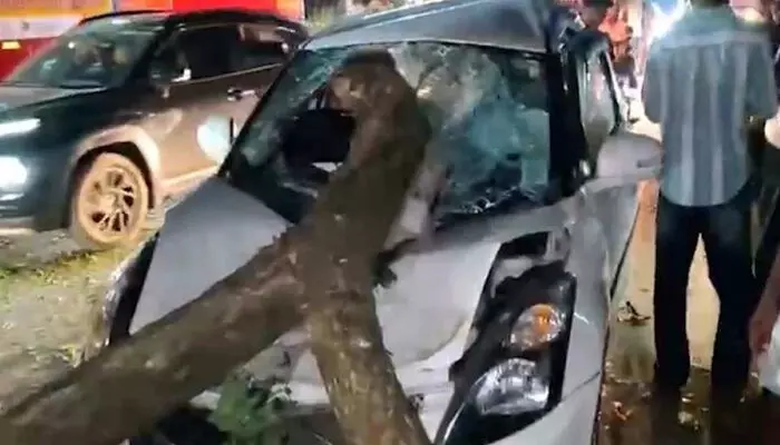 ലോറിയില്‍ തട്ടി റോഡിലേക്ക് മുറിഞ്ഞുവീണ മരക്കൊമ്പ് കാറിനുള്ളില്‍ തുളച്ച് കയറി; യുവതിക്ക് ദാരുണാന്ത്യം