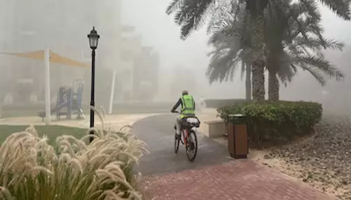 കാറുമായി പുറത്തിറങ്ങുമ്പോൾ സൂക്ഷിക്കണം; വേഗത കുറച്ച് ഓടിക്കാൻ ശ്രമിക്കുക; കനത്ത മൂടൽമഞ്ഞിൽ പൊറുതിമുട്ടി യുഎഇ; ജാഗ്രത നിർദ്ദേശം പുറപ്പെടുവിച്ച് അധികൃതർ കാറുമായി പുറത്തിറങ്ങുമ്പോൾ സൂക്ഷിക്കണം; വേഗത കുറച്ച് ഓടിക്കാൻ ശ്രമിക്കുക; കനത്ത മൂടൽമഞ്ഞിൽ പൊറുതിമുട്ടി യുഎഇ; ജാഗ്രത നിർദ്ദേശം പുറപ്പെടുവിച്ച് അധികൃതർ