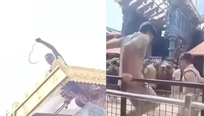 ശബരിമല സന്നിധാനത്ത് നിന്നും പാമ്പിനെ പിടികൂടി; പതിനെട്ടാംപടിക്ക് സമീപത്തെ റൂഫിനു മുകളില്‍ കണ്ടെത്തിയത് പച്ചില പാമ്പിനെ