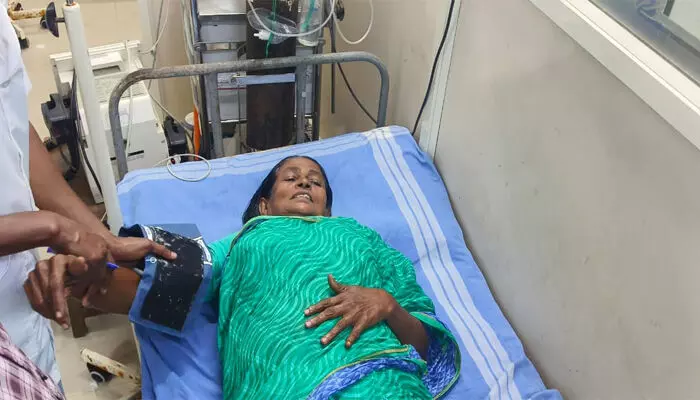 വീട്ടുമുറ്റത്ത് നിന്ന വയോധികയെ കാട്ടുപന്നി കുത്തി; പമ്പാവാലിയില്‍ ആക്രമണത്തില്‍ പരിക്കേറ്റത് 70 കാരി ലീലാമ്മയ്ക്ക്; ആക്രമണം വൈകിട്ട് ആറരയോടെ; കാട്ടുപന്നി ശല്യം രൂക്ഷമെന്ന് നാട്ടുകാര്‍