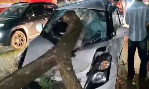 ലോറിയില്‍ തട്ടി റോഡിലേക്ക് മുറിഞ്ഞുവീണ മരക്കൊമ്പ് കാറിനുള്ളില്‍ തുളച്ച് കയറി; യുവതിക്ക് ദാരുണാന്ത്യം