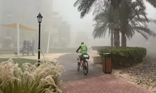 കാറുമായി പുറത്തിറങ്ങുമ്പോൾ സൂക്ഷിക്കണം; വേഗത കുറച്ച് ഓടിക്കാൻ ശ്രമിക്കുക; കനത്ത മൂടൽമഞ്ഞിൽ പൊറുതിമുട്ടി യുഎഇ; ജാഗ്രത നിർദ്ദേശം പുറപ്പെടുവിച്ച് അധികൃതർ