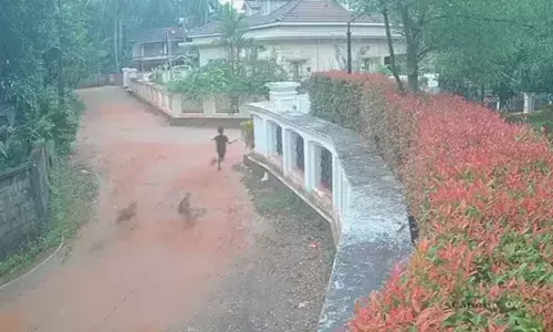നിലവിളിച്ച് കൊണ്ട് ഓടുന്ന കുട്ടികൾ; പിന്നാലെ കടിക്കാൻ ഓടിക്കുന്ന പട്ടികൾ; ബഹളം കേട്ട് നാട്ടുകാർ ഓടിയെത്തി; രക്ഷപെട്ടത് ജസ്റ്റ് മിസ്സിന്
