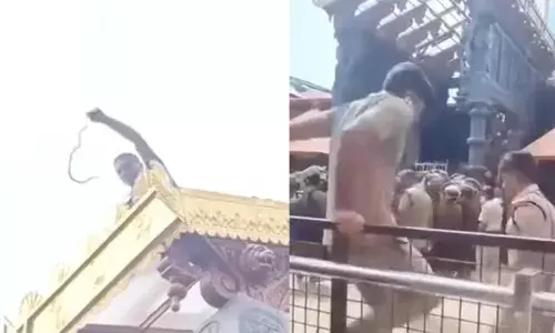 ശബരിമല സന്നിധാനത്ത് നിന്നും പാമ്പിനെ പിടികൂടി; പതിനെട്ടാംപടിക്ക് സമീപത്തെ റൂഫിനു മുകളില്‍ കണ്ടെത്തിയത് പച്ചില പാമ്പിനെ