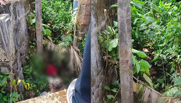 കാട് വെട്ടുന്നതിനിടെ പൊട്ടിവീണ വൈദ്യുത കമ്പിയിൽ നിന്ന് ഷോക്കേറ്റു; കണ്ണൂരിൽ വായോധികയ്ക്ക് ദാരുണാന്ത്യം