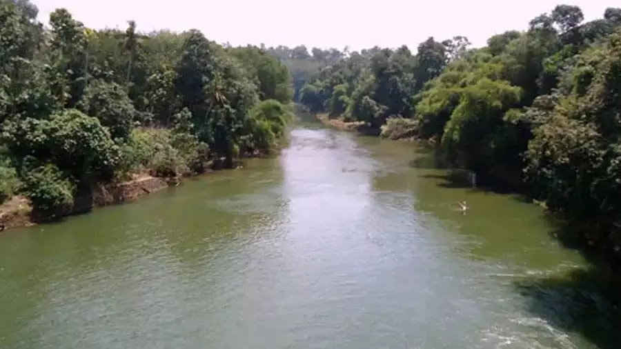 സംസ്ഥാനത്ത് നദികളില്‍ ജലനിരപ്പുയരുന്നു; നദികളില്‍ മഞ്ഞ അലര്‍ട്ട്: രണ്ട് ജില്ലകളില്‍ മുന്നറിയിപ്പ് സൈറണ്‍