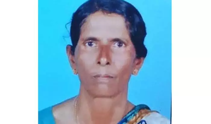 വൈദ്യുത കമ്പിയില് നിന്നും ഷോക്കേറ്റ് വയോധിക മരിച്ചു വൈദ്യുത കമ്പിയില് നിന്നും ഷോക്കേറ്റ് വയോധിക മരിച്ചു