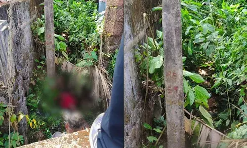 കാട് വെട്ടുന്നതിനിടെ പൊട്ടിവീണ വൈദ്യുത കമ്പിയിൽ നിന്ന് ഷോക്കേറ്റു; കണ്ണൂരിൽ വായോധികയ്ക്ക് ദാരുണാന്ത്യം