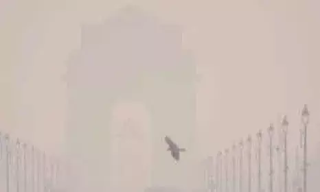 വായു മലിനീകരണം കൂടുതല്‍ രൂക്ഷമായാല്‍ വര്‍ക്ക് ഫ്രം ഹോമും പരിഗണനയില്‍; ഡല്‍ഹിയില്‍ പ്രതിസന്ധി രൂക്ഷം