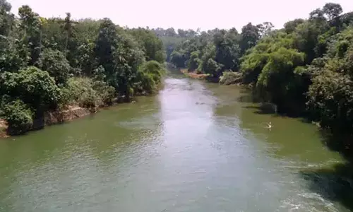 സംസ്ഥാനത്ത് നദികളില്‍ ജലനിരപ്പുയരുന്നു; നദികളില്‍ മഞ്ഞ അലര്‍ട്ട്: രണ്ട് ജില്ലകളില്‍ മുന്നറിയിപ്പ് സൈറണ്‍