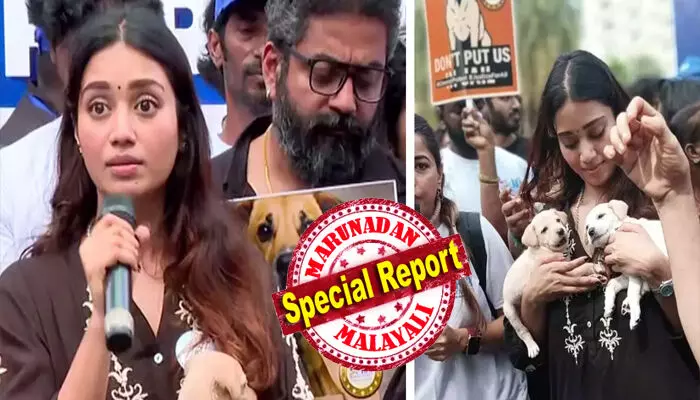 മനുഷ്യൻ തെറ്റ് ചെയ്താൽ കൊന്നുകളയുമോ, നായ കടിക്കുമ്പോൾ അതിനെ വലുതാക്കി ഭീതി പരത്തുന്നു; പരിഹാരം കണ്ടെത്തുകയാണ് വേണ്ടത്; പുലിവാല് പിടിച്ച് നിവേദ പേതുരാജ്; കാറിൽ യാത്ര ചെയ്യുന്ന നടിക്ക് സാധാരണക്കാരുടെ ദുരിതം മനസ്സിലാകുമോയെന്ന് വിമർശനം