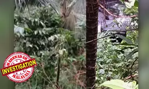 പാമ്പിനെ വഴിയില്‍ കണ്ട് വെട്ടിച്ചു; സ്‌കൂള്‍ കുട്ടികളുമായി പോയ ഓട്ടോറിക്ഷ തോട്ടിലേക്ക് മറിഞ്ഞു; എട്ട് വയസുകാരിയായ വിദ്യാര്‍ത്ഥിക്ക് ദാരുണാന്ത്യം;  രണ്ട് വിദ്യാര്‍ഥികള്‍ക്കും ഡ്രൈവര്‍ക്കും ഗുരുതരപരിക്ക്