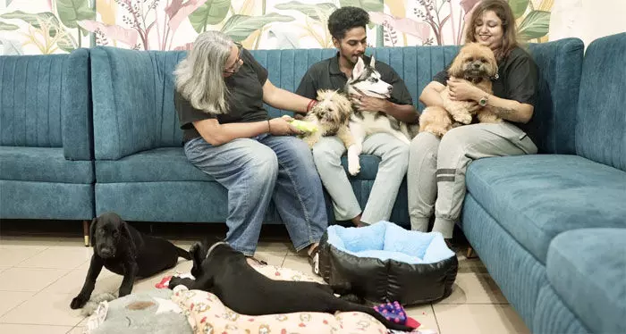 കേരളത്തില് ആദ്യമായി ഒരു പാ തെറാപ്പി റൂം; വളര്ത്തു നായകളുമൊത്ത് തെറാപ്പി സൗകര്യം ഒരുക്കി ബോബോ കേരളത്തില് ആദ്യമായി ഒരു പാ തെറാപ്പി റൂം; വളര്ത്തു നായകളുമൊത്ത് തെറാപ്പി സൗകര്യം ഒരുക്കി ബോബോ