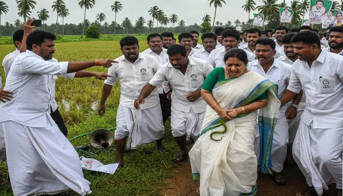 തെരഞ്ഞെടുപ്പ് പ്രചാരണത്തിനിറങ്ങിയ യുഡിഎഫ് സ്ഥാനാർത്ഥിയെ പാമ്പ് കടിച്ചു; ആശുപത്രിയിൽ പ്രവേശിപ്പിച്ചു; സംഭവം പാലക്കാട് തെരഞ്ഞെടുപ്പ് പ്രചാരണത്തിനിറങ്ങിയ യുഡിഎഫ് സ്ഥാനാർത്ഥിയെ പാമ്പ് കടിച്ചു; ആശുപത്രിയിൽ പ്രവേശിപ്പിച്ചു; സംഭവം പാലക്കാട്