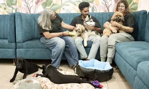 കേരളത്തില്‍ ആദ്യമായി ഒരു പാ തെറാപ്പി റൂം; വളര്‍ത്തു നായകളുമൊത്ത് തെറാപ്പി സൗകര്യം ഒരുക്കി ബോബോ