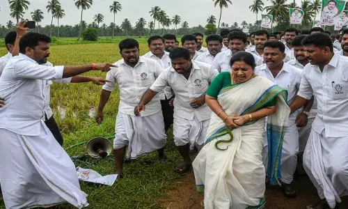 തെരഞ്ഞെടുപ്പ് പ്രചാരണത്തിനിറങ്ങിയ യുഡിഎഫ് സ്ഥാനാർത്ഥിയെ പാമ്പ് കടിച്ചു; ആശുപത്രിയിൽ പ്രവേശിപ്പിച്ചു; സംഭവം പാലക്കാട്