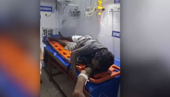 പച്ചമരുന്ന് ശേഖരിക്കുന്നതിനിടെ ചാടിയെത്തി; കരടിയുടെ ആക്രമണത്തിൽ യുവാവിന് പരിക്ക്; സംഭവം നിലമ്പൂരിൽ പച്ചമരുന്ന് ശേഖരിക്കുന്നതിനിടെ ചാടിയെത്തി; കരടിയുടെ ആക്രമണത്തിൽ യുവാവിന് പരിക്ക്; സംഭവം നിലമ്പൂരിൽ