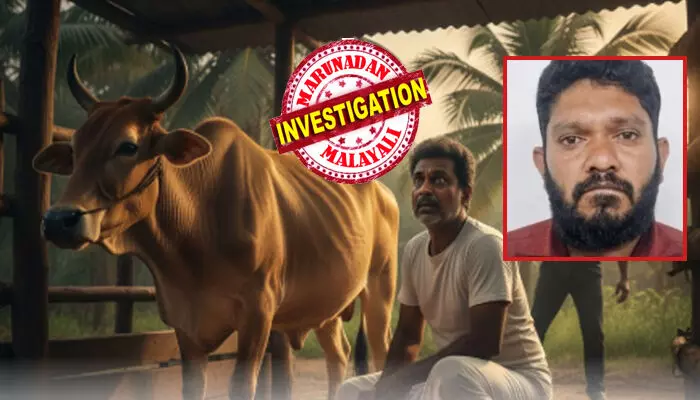 രാവിലെ തന്നെ പശു ഫാമില്‍ പാല്‍ കറക്കാനെത്തിയ ആ ഒരാൾ; പെട്ടെന്ന് ചുറ്റും അസാധാരണമായ കാഴ്ചകൾ; വൻ ശബ്ദത്തിൽ പൊട്ടിത്തെറി; രക്ഷപ്പെട്ടത് ഭാഗ്യം കൊണ്ട് മാത്രം; അന്വേഷണത്തിനൊടുവിൽ സംഭവിച്ചത്