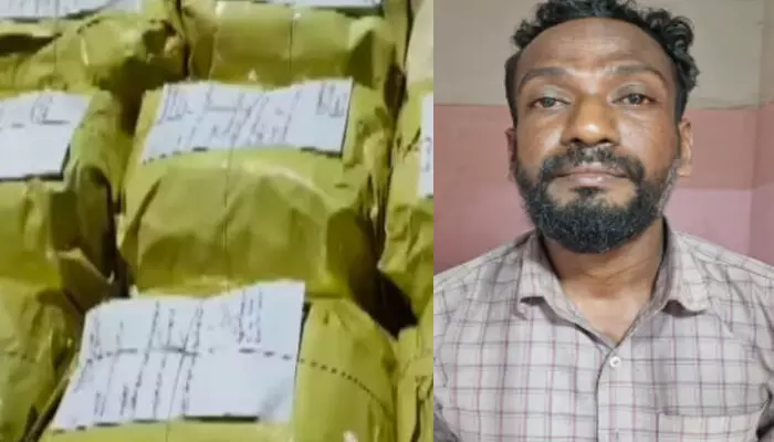 കോഴിക്കടയിലെ ഇറച്ചി വിതരണത്തിൽ സംശയം; പരിശോധനയിൽ കെട്ടുകെട്ടായി കണ്ടത്; വിരുതനെ കൈയ്യോടെ പൊക്കി ഡാൻസാഫ് സംഘം