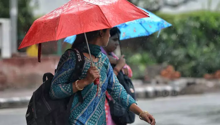 കുട മടക്കല്ലേ..; കേരളത്തിൽ ഇന്ന് പരക്കെ മഴ പെയ്യുമെന്ന് മുന്നറിയിപ്പ്; മൂന്ന് ജില്ലകളിൽ യെല്ലോ അലർട്ട്; ജാഗ്രത വേണമെന്ന് കാലാവസ്ഥ വകുപ്പ്