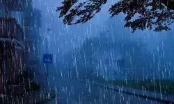 ഡിറ്റ് വാ ചുഴലിക്കാറ്റ്; സംസ്ഥാനത്ത് ഇന്നും പരക്കെ മഴ സാധ്യത: തണുത്ത കാലാവസ്ഥ തുടരും ഡിറ്റ് വാ ചുഴലിക്കാറ്റ്; സംസ്ഥാനത്ത് ഇന്നും പരക്കെ മഴ സാധ്യത: തണുത്ത കാലാവസ്ഥ തുടരും