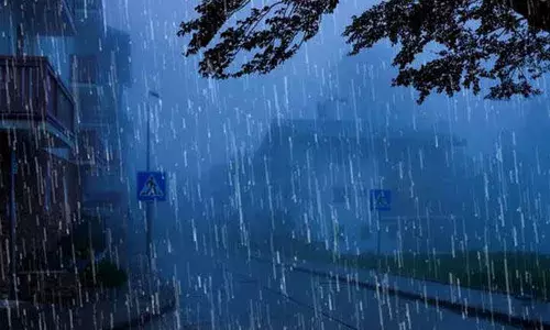 ഡിറ്റ് വാ ചുഴലിക്കാറ്റ്; സംസ്ഥാനത്ത് ഇന്നും പരക്കെ മഴ സാധ്യത: തണുത്ത കാലാവസ്ഥ തുടരും ഡിറ്റ് വാ ചുഴലിക്കാറ്റ്; സംസ്ഥാനത്ത് ഇന്നും പരക്കെ മഴ സാധ്യത: തണുത്ത കാലാവസ്ഥ തുടരും