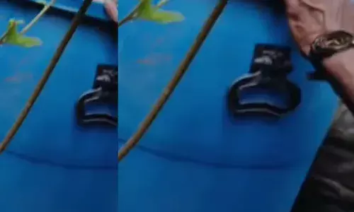 കാട്ടിനുള്ളിൽ രണ്ട് പ്ലാസ്റ്റിക് ബാരലുകൾ; വിവരം അറിഞ്ഞ് എക്സൈസ് പാഞ്ഞെത്തി; പരിശോധനയിൽ എല്ലാം കൈയ്യോടെ പൊക്കി; സംഭവം പാലക്കാട്