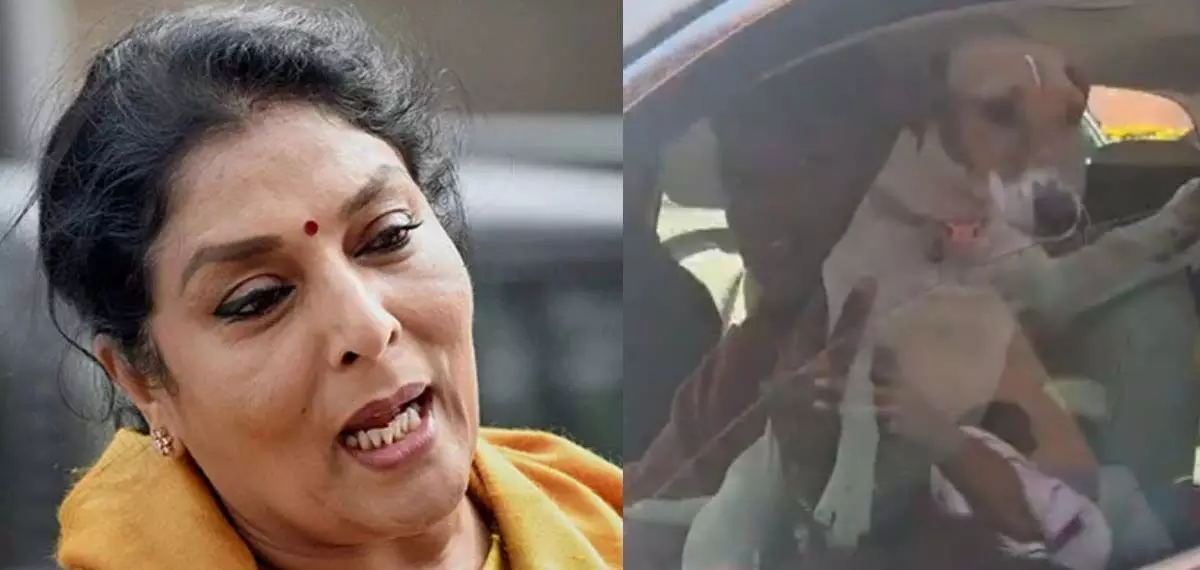 വളര്‍ത്തുനായയുമായി പാര്‍ലമെന്റിലെത്തി കോണ്‍ഗ്രസ് എംപി; കടിക്കുന്നവര്‍ ഉള്ളിലുണ്ടെന്ന് വിവാദമായപ്പോള്‍ രേണുക ചൗധരിയുടെ പ്രതികരണം
