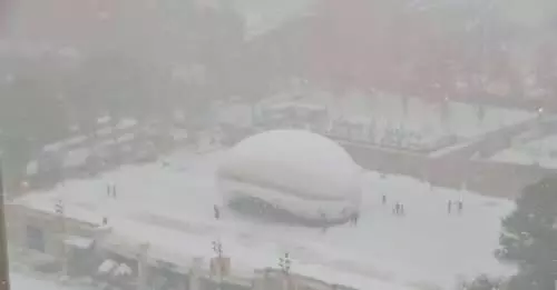 ഷിക്കാഗോയില്‍ റെക്കോര്‍ഡ് തകര്‍ത്തു തീവ്രമായ മഞ്ഞുവീഴ്ച 1,400-ല്‍ അധികം വിമാനങ്ങള്‍ റദ്ദാക്കി