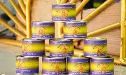 സ്വര്ണമോഷണ വിവാദങ്ങള് ശബരിമലയില് ഏശിയില്ല; ആദ്യ 15 ദിവസത്തെ വരുമാനം 92 കോടി; അരവണയില് നിന്ന് 47 കോടി സ്വര്ണമോഷണ വിവാദങ്ങള് ശബരിമലയില് ഏശിയില്ല; ആദ്യ 15 ദിവസത്തെ വരുമാനം 92 കോടി; അരവണയില് നിന്ന് 47 കോടി