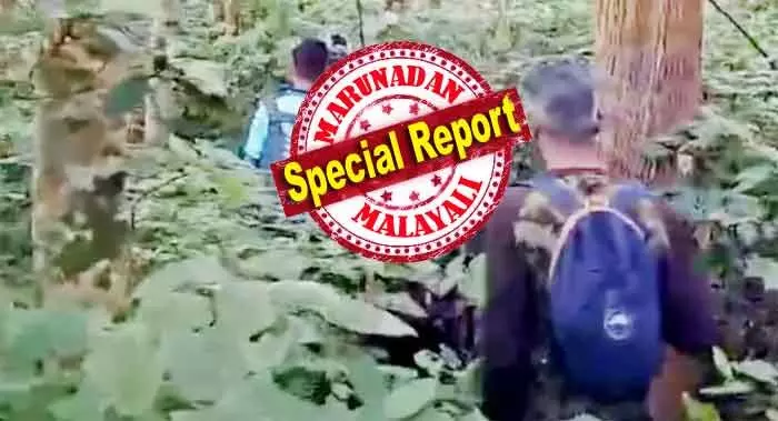 കടുവാ സെന്‍സസിന് പോയ സംഘത്തിലെ നാലു പേരെ കാണാനില്ല; വനിതാ ഉദ്യോഗസ്ഥയെ അടക്കം ഫോണില്‍ ബന്ധപ്പെടാന്‍ കഴിയുന്നില്ല; ഇവര്‍ കൂട്ടം തെറ്റിയതെന്ന് സംശയം; പരുത്തിപ്പള്ളി റേഞ്ചില്‍ അരിച്ചു പെറുക്കി പരിശോധന; ബോണക്കാട്ടെ കടുവാ സെന്‍സസിനിടെ ആശങ്ക