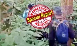 കടുവാ സെന്‍സസിന് പോയ സംഘത്തിലെ നാലു പേരെ കാണാനില്ല; വനിതാ ഉദ്യോഗസ്ഥയെ അടക്കം ഫോണില്‍ ബന്ധപ്പെടാന്‍ കഴിയുന്നില്ല; ഇവര്‍ കൂട്ടം തെറ്റിയതെന്ന് സംശയം; പരുത്തിപ്പള്ളി റേഞ്ചില്‍ അരിച്ചു പെറുക്കി പരിശോധന; ബോണക്കാട്ടെ കടുവാ സെന്‍സസിനിടെ ആശങ്ക