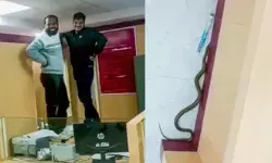 ബാങ്കിനുള്ളിൽ വൻ ഇടപാടുകൾ നടക്കുന്ന സമയം; ആർക്കും നിന്നുതിരിയാൻ നേരമില്ല; പെട്ടെന്ന് ബ്രാഞ്ചിലേക്ക് വിളിക്കാതെ എത്തിയ ഒരാൾ; കണ്ടപാടെ ചുറ്റും പരിഭ്രാന്തി; ഒടുവിൽ സംഭവിച്ചത്