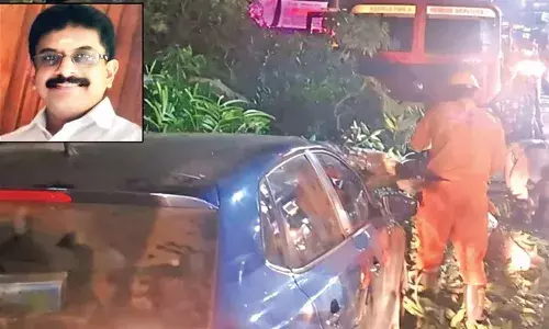 റോഡരികില്‍ ഫോണില്‍ സംസാരിച്ച് നില്‍ക്കവെ കൂറ്റന്‍ മരത്തിന്റെ ശിഖരം ഒടിഞ്ഞു വീണു; റിട്ട. കെഎസ്ആര്‍ടിസി കണ്ടക്ടര്‍ക്ക് ദാരുണാന്ത്യം