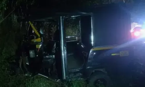 യാത്രക്കാരെയെല്ലാം ഇറക്കിവിട്ട് വീട്ടിലേക്ക് മടക്കം; പാതി വഴിയിലെത്തിയതും ഓട്ടോറിക്ഷ ഡ്രൈവറുടെ തോളിൽ വന്നിരുന്ന അപ്രതീക്ഷിത അതിഥി; നിയന്ത്രണം തെറ്റി അപകടം; രക്ഷപ്പെട്ടത് ഭാഗ്യം കൊണ്ട്