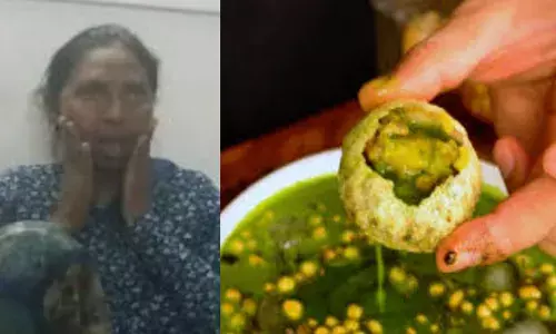 പതിവ് പോലെ പാനി പൂരി കഴിക്കാനെത്തി; ആശയോടെ വാങ്ങിച്ച് വാ തുറന്നത് മാത്രമേ ഓർമ്മയുള്ളൂ; വേദന കൊണ്ട് പുളഞ്ഞ് യുവതി; ഇത് അപൂർവമെന്ന് ഡോക്ടർമാർ