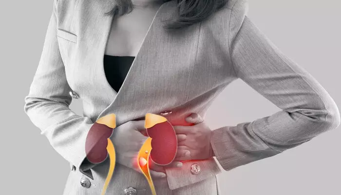 രാത്രിയിൽ ഇടവിട്ടുള്ള മൂത്ര ശങ്ക; മുഖത്തെ അസാധാരണ വീക്കം; ഇത്തരം ലക്ഷണങ്ങൾ ശരീരം കാണിക്കുന്നുണ്ടെങ്കിൽ ഒന്ന് സൂക്ഷിക്കണം; വൃക്കരോഗം എങ്ങനെ തിരിച്ചറിയാം രാത്രിയിൽ ഇടവിട്ടുള്ള മൂത്ര ശങ്ക; മുഖത്തെ അസാധാരണ വീക്കം; ഇത്തരം ലക്ഷണങ്ങൾ ശരീരം കാണിക്കുന്നുണ്ടെങ്കിൽ ഒന്ന് സൂക്ഷിക്കണം; വൃക്കരോഗം എങ്ങനെ തിരിച്ചറിയാം