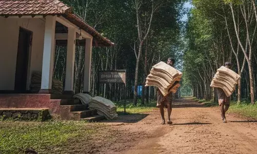 വോട്ടഭ്യർഥിക്കാൻ പോയ തക്കം നോക്കി വീട്ടിൽ മോഷണം; കള്ളൻ കൊണ്ട് പോയത് 30 റബ്ബർ ഷീറ്റുകൾ; പ്രചാരണത്തിലെ ശ്രദ്ധ തിരിച്ചുവിടാനുള്ള തന്ത്രമെന്ന് സ്ഥാനാർഥി