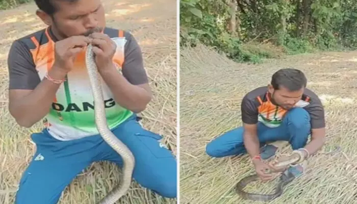 യുവാവിന്റെ കൈയ്യിൽ തൂങ്ങിയാടുന്ന ഉഗ്രൻ പാമ്പ്; വാ വച്ച് സിപിആർ നൽകുന്ന കാഴ്ച; ഇതൊന്നും അനുകരിക്കരുതെന്ന് വിദഗ്ധർ