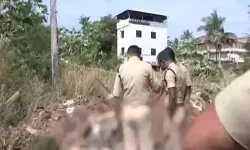 പാലക്കാട് നഗരമധ്യത്തിൽ പ്ലാസ്റ്റിക് കവറിൽ പൊതിഞ്ഞ നിലയിൽ മനുഷ്യന്റെ തലയോട്ടിയും അസ്ഥികളും കണ്ടെത്തി; അന്വേഷണം ആരംഭിച്ച് പോലീസ് പാലക്കാട് നഗരമധ്യത്തിൽ പ്ലാസ്റ്റിക് കവറിൽ പൊതിഞ്ഞ നിലയിൽ മനുഷ്യന്റെ തലയോട്ടിയും അസ്ഥികളും കണ്ടെത്തി; അന്വേഷണം ആരംഭിച്ച് പോലീസ്