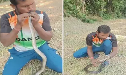 യുവാവിന്റെ കൈയ്യിൽ തൂങ്ങിയാടുന്ന ഉഗ്രൻ പാമ്പ്; വാ വച്ച് സിപിആർ നൽകുന്ന കാഴ്ച; ഇതൊന്നും അനുകരിക്കരുതെന്ന് വിദഗ്ധർ