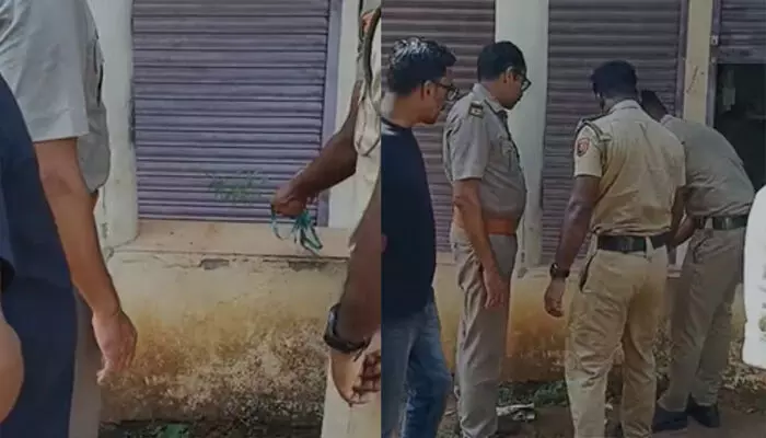 പട്ടാമ്പി ബ്ലോക്ക് പഞ്ചായത്ത് വളപ്പിൽ കണ്ടെത്തിയത് 29 സെന്റീമീറ്റർ നീളമുള്ള കഞ്ചാവ് ചെടി; പരിശോധന നടത്തി എക്സൈസ്