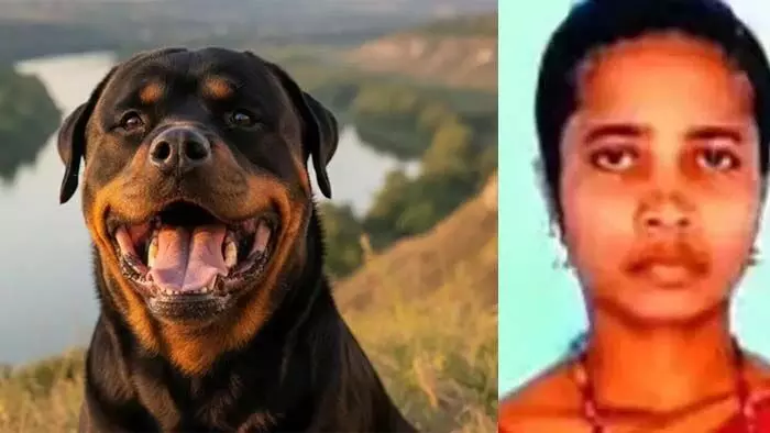 വീട്ടിലേക്ക് നടന്നുപോകുകയായിരുന്നു യുവതി ആക്രമിച്ചു റോട്ട്വീലര്‍ നായ്ക്കള്‍; ആഴത്തില്‍ മുറിവേറ്റ് രക്തം വാര്‍ന്ന് യുവതിക്ക് ദാരുണാന്ത്യം; ആസൂത്രിത ആക്രമണം ആരോപിച്ചു ബന്ധുക്കള്‍