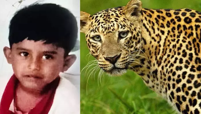 തമിഴ്നാട് വാല്‍പ്പാറയില്‍ വീട്ടുമുറ്റത്ത് കളിച്ചുകൊണ്ടിരുന്ന നാല് വയസുകാരനെ പുലി കടിച്ചു കൊന്നു; മൃതദേഹം കണ്ടെത്തിയത് തേയിലതോട്ടത്തില്‍ നിന്ന്